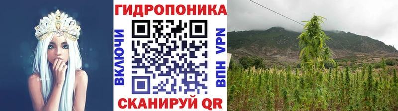 Сколько стоит Бобров Alpha-PVP  blacksprut онион  Конопля  ГАШ  Вейп ТГК 