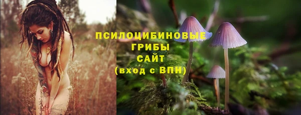 гашишное масло Белокуриха