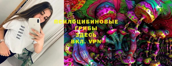 apvp Богородицк